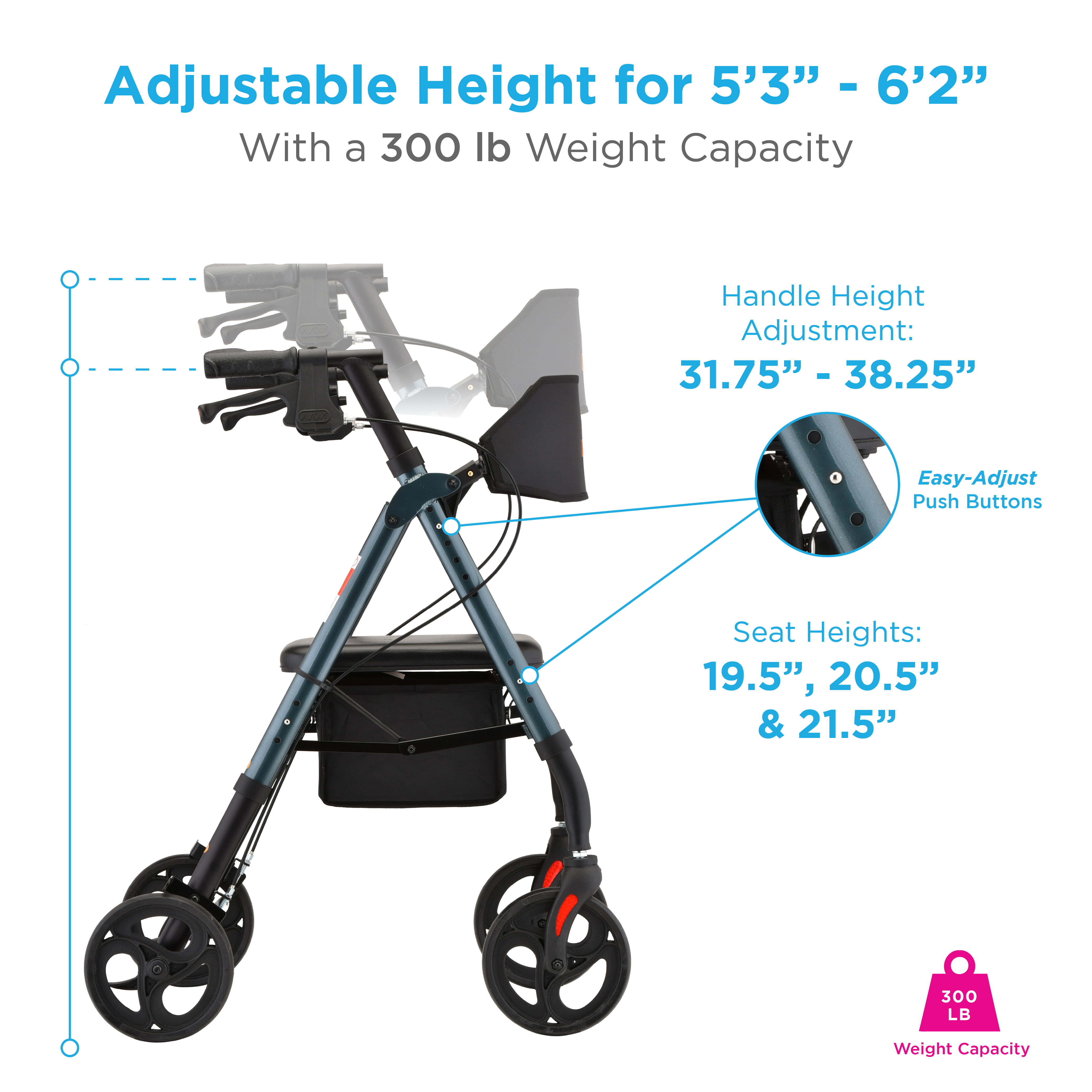 4258BL INFOGRAPHIC 4.jpg